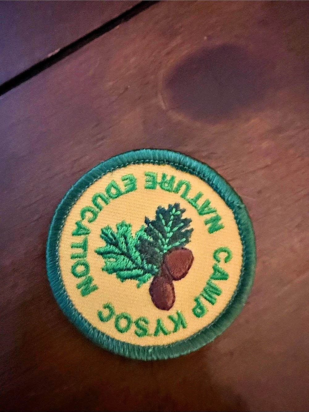 Embroidered Green & Yellow Patch